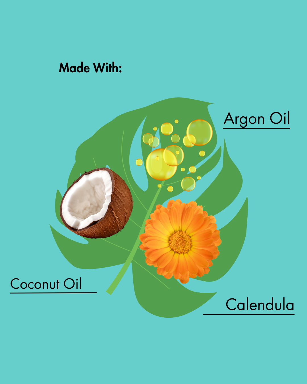 ملصق المنتج مع جوز الهند وزهرة الآذريون وزيت الأرغان على خلفية زرقاء مخضرة