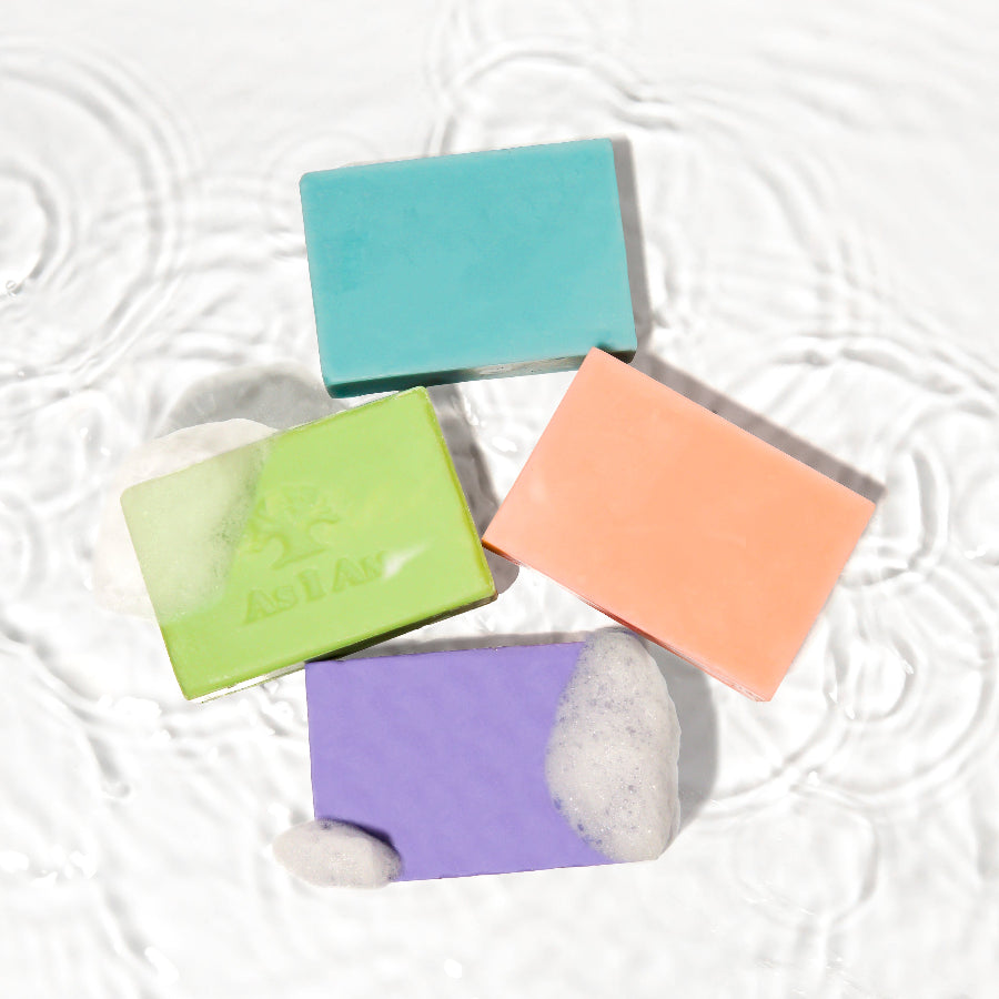 صورة منتج مجموعة ألواح بذور القنب في الماء