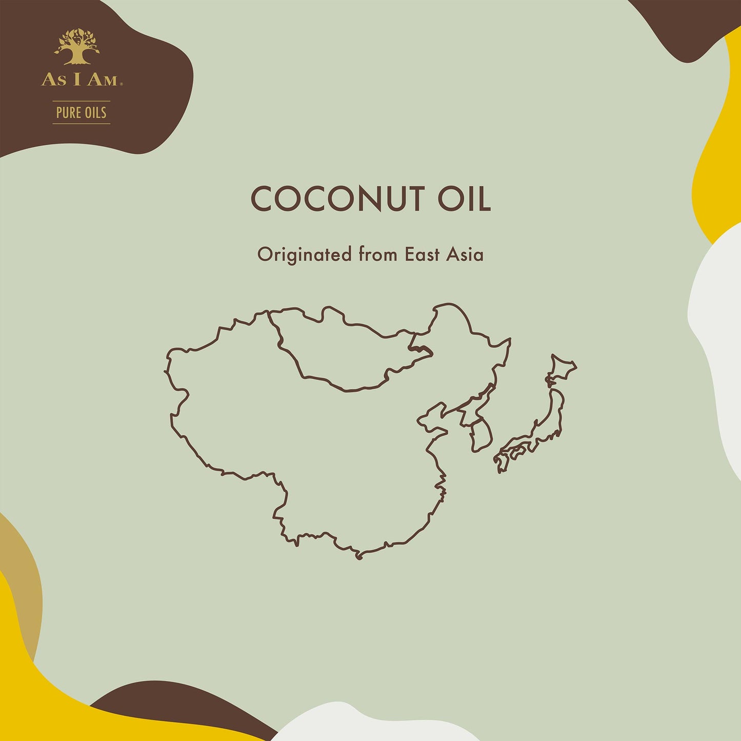 الزيوت النقية زيت جوز الهند البكر الممتاز