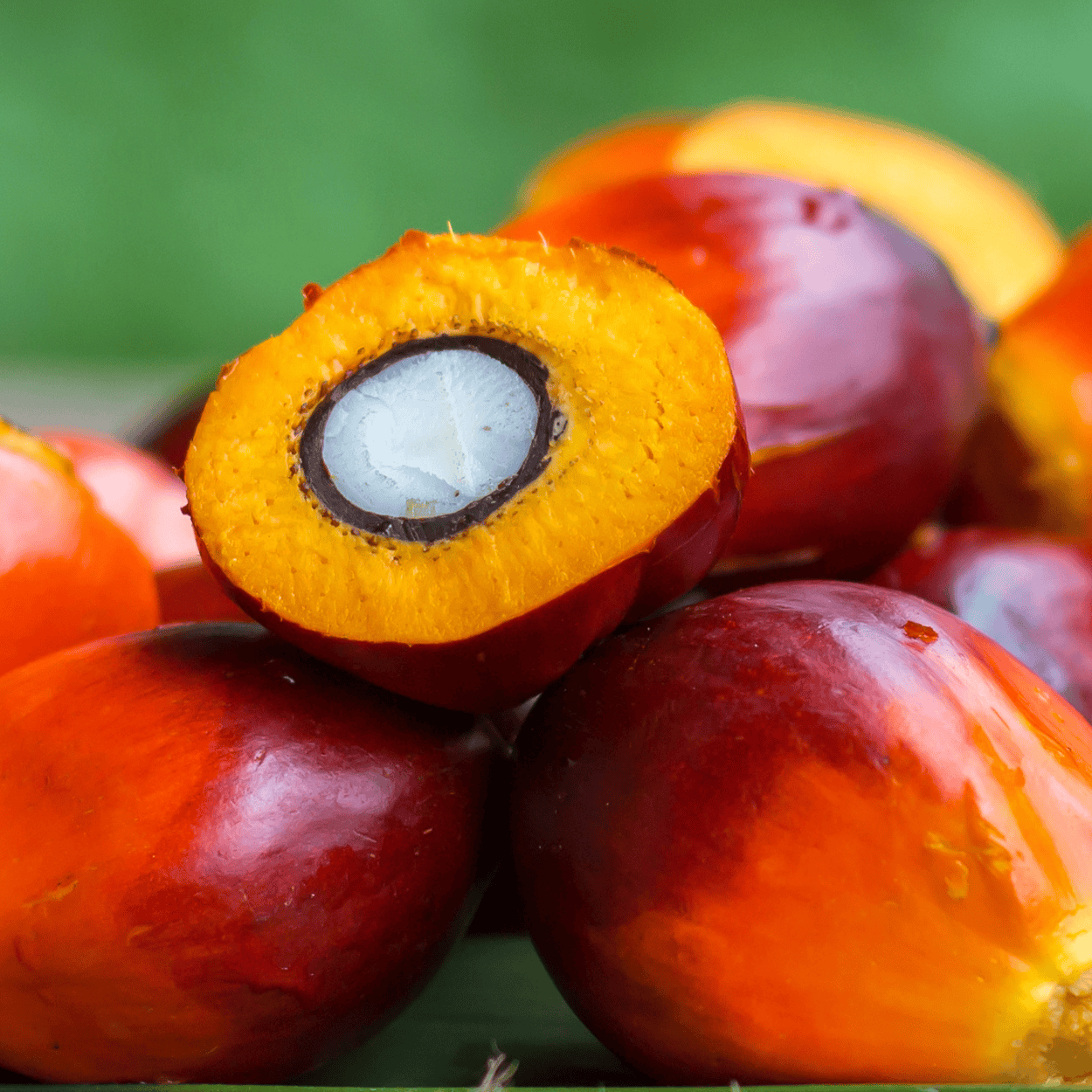 لقطة مقربة لثمرة نخيل مع مقطع مقطوع يكشف عن داخلها.