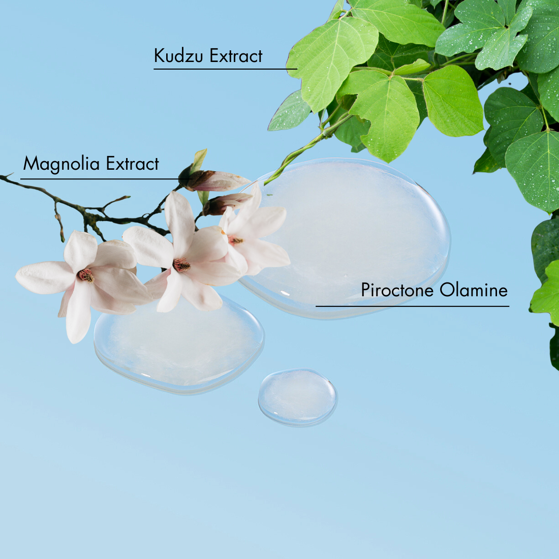 عناية بالفروة الجافة والمصابة بالحكة قطرات لتخفيف الحكة